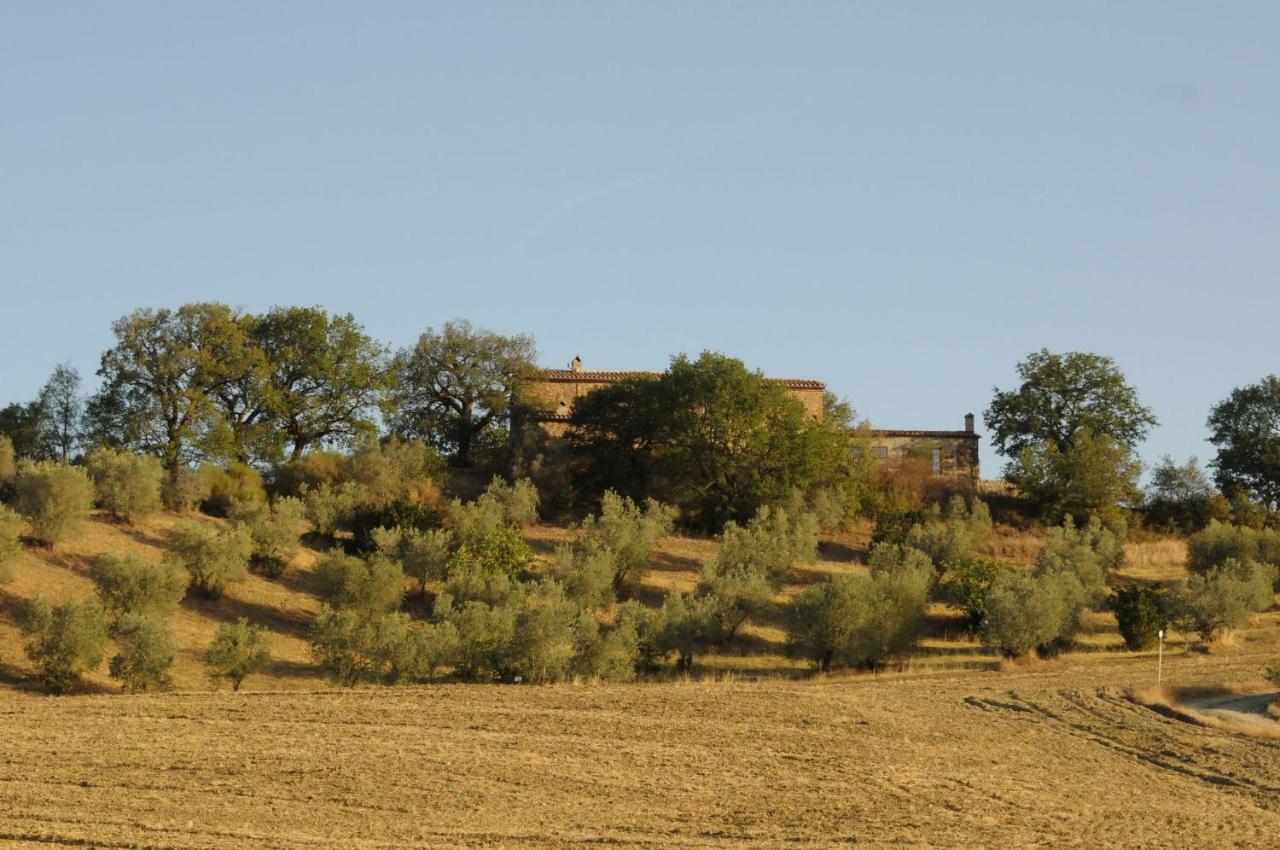 Castiglione dʼOrcia Podere Palazzo מראה חיצוני תמונה